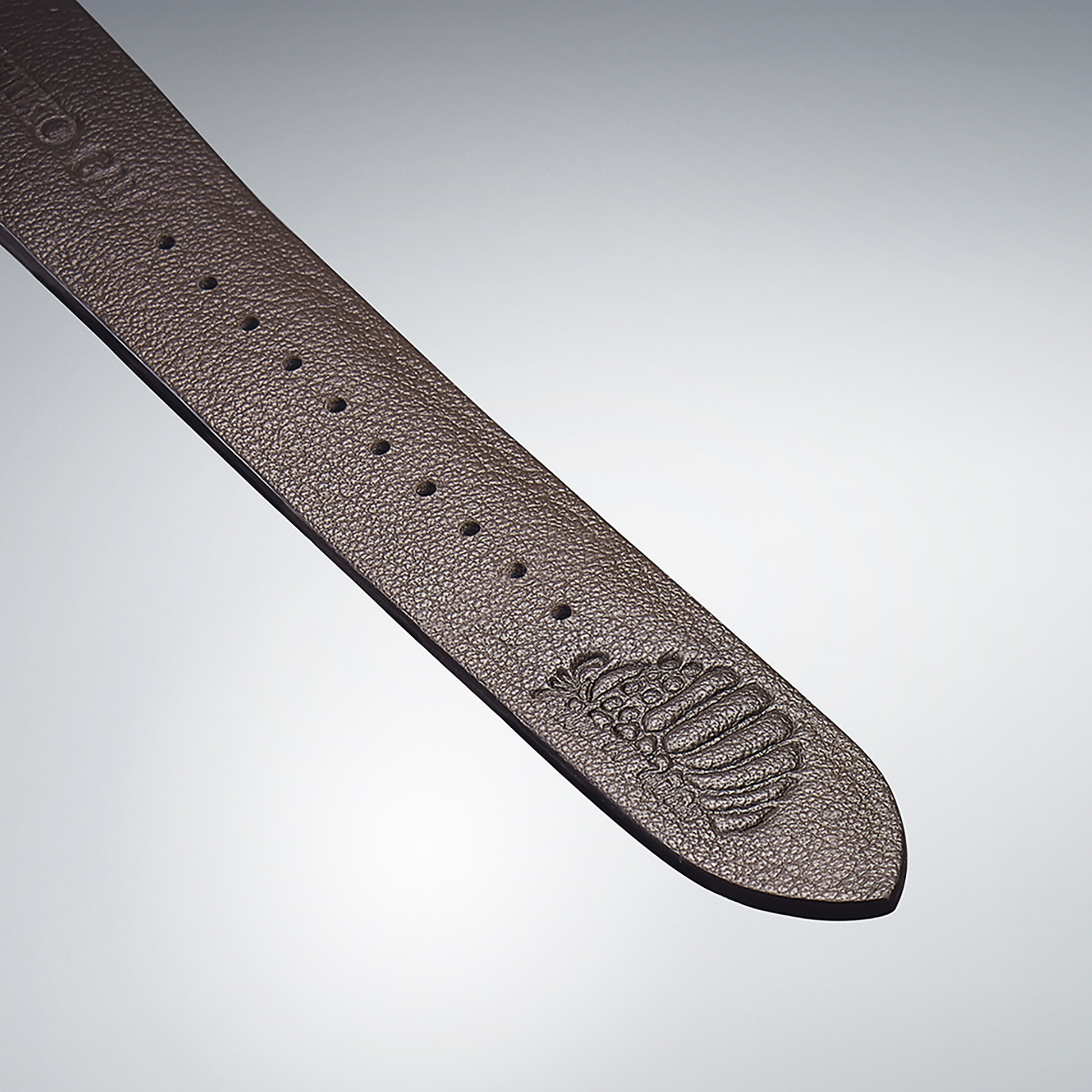 Seiko Presage Craftsmanship Series "Nausicaä In The Valley Of The Wind" Limited Edition Spb437